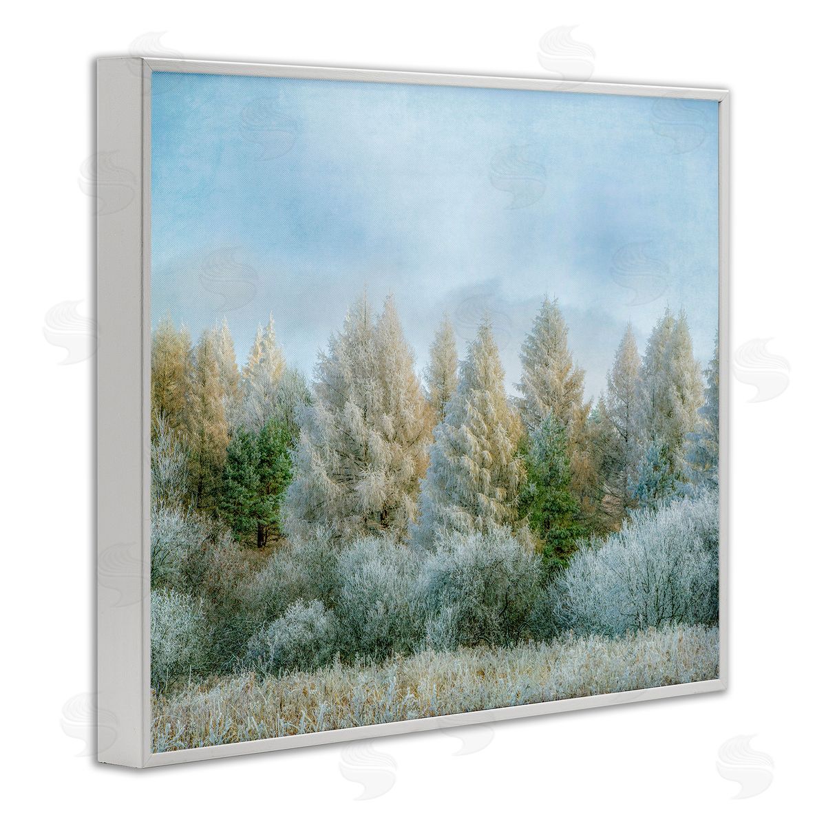 Brooke T. Ryan Woodland Grove Forest Trees