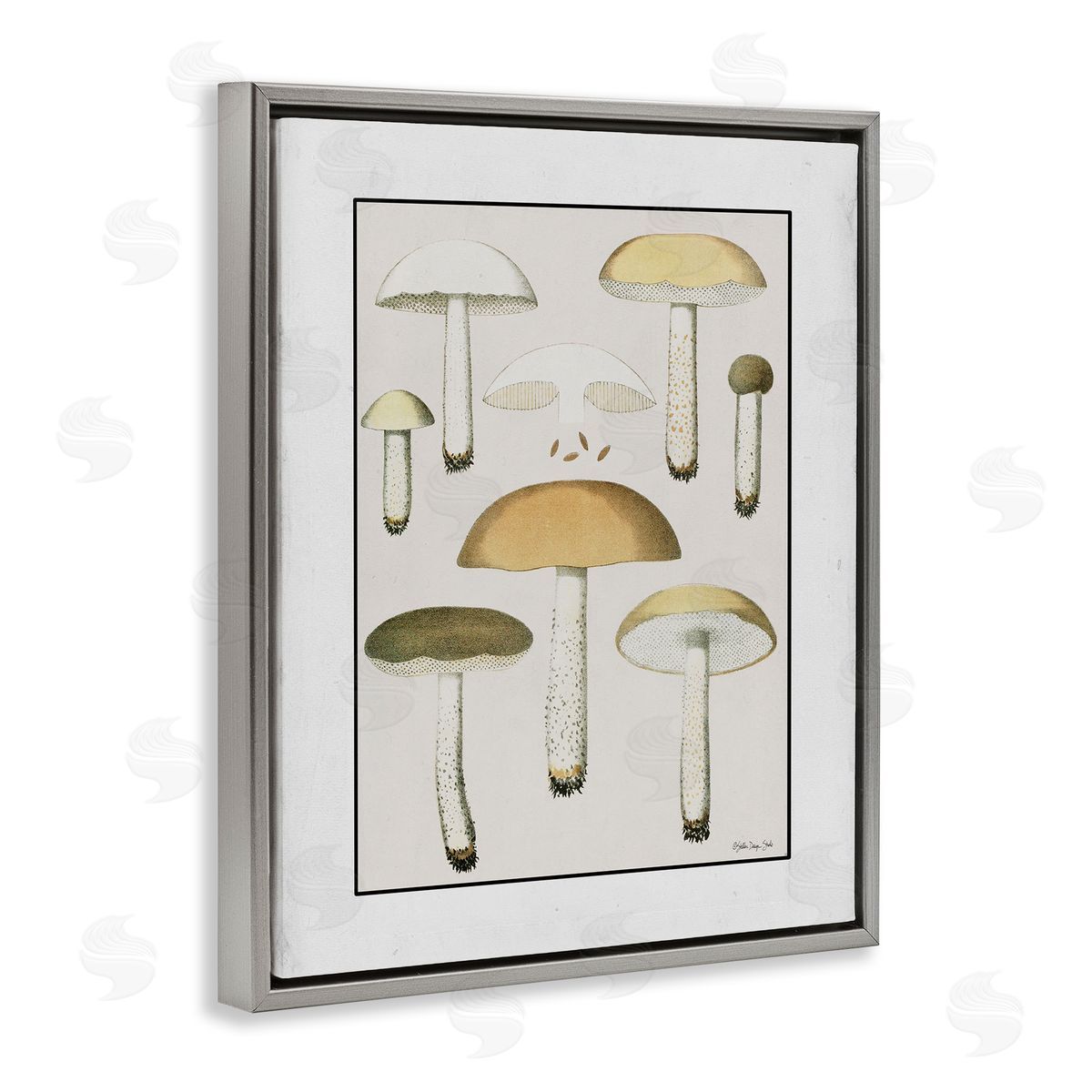 Stellar Design Studio Various Mushrooms Forest Plant