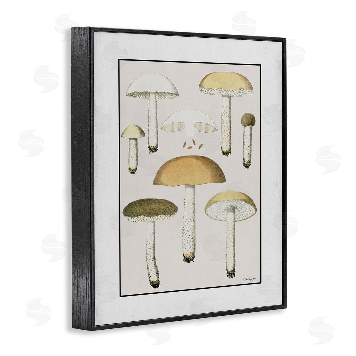 Stellar Design Studio Various Mushrooms Forest Plant