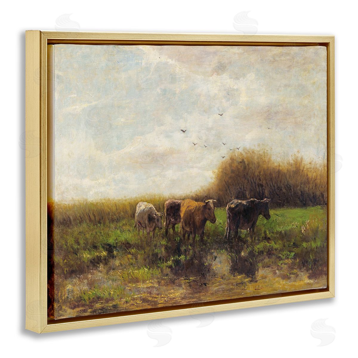 Stellar Design Studio Cattle Stepping Rural Scenery
