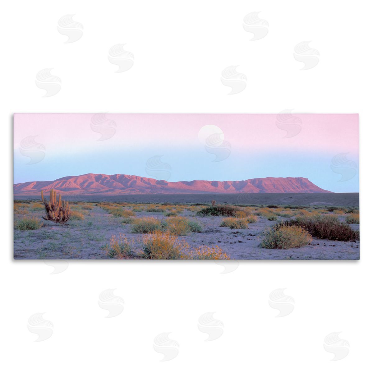 Danita Delimont Desert Sun Arid Plateau