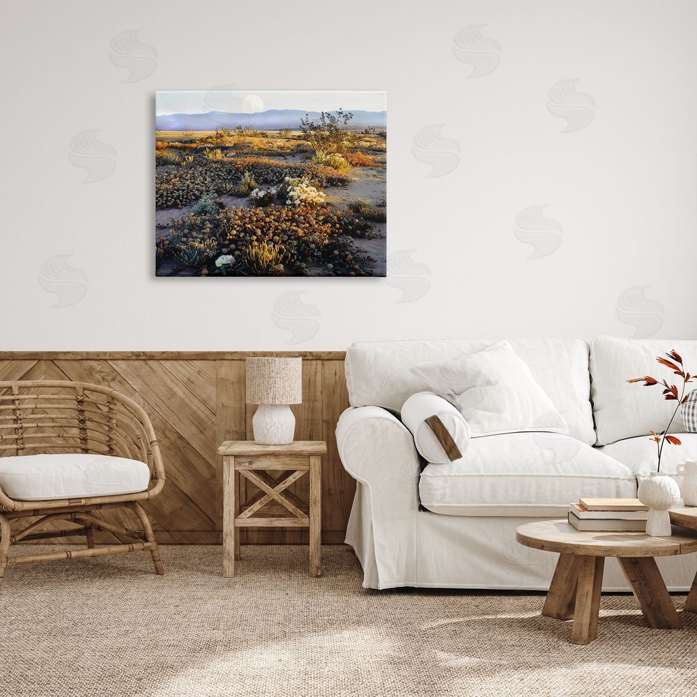 Danita Delimont Mountain View Desert Vegetation