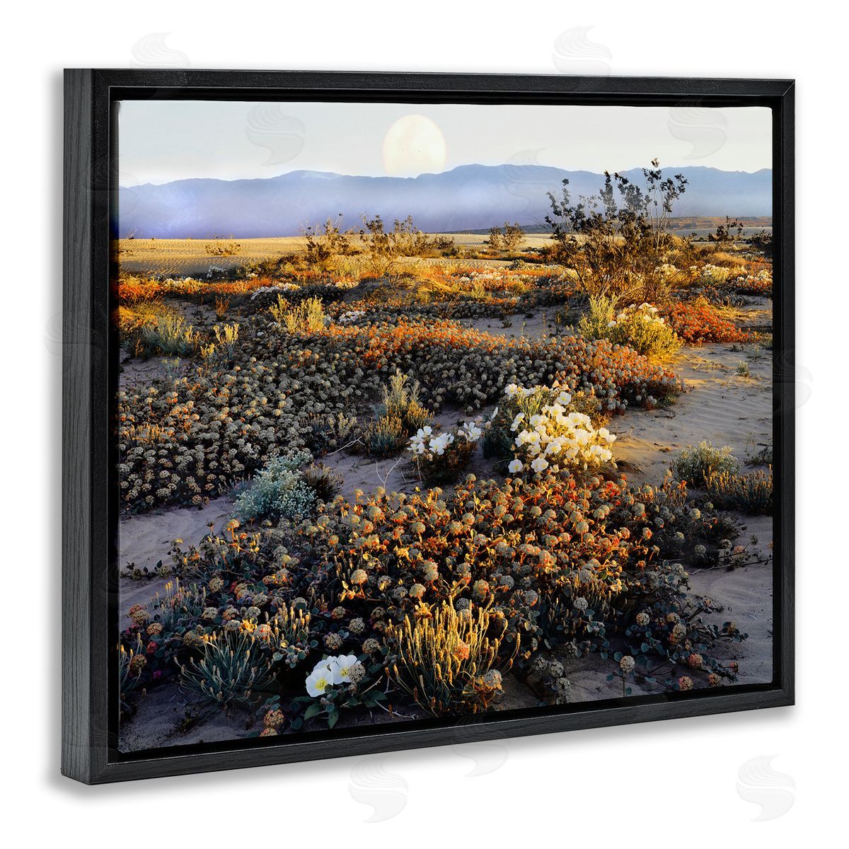 Danita Delimont Mountain View Desert Vegetation