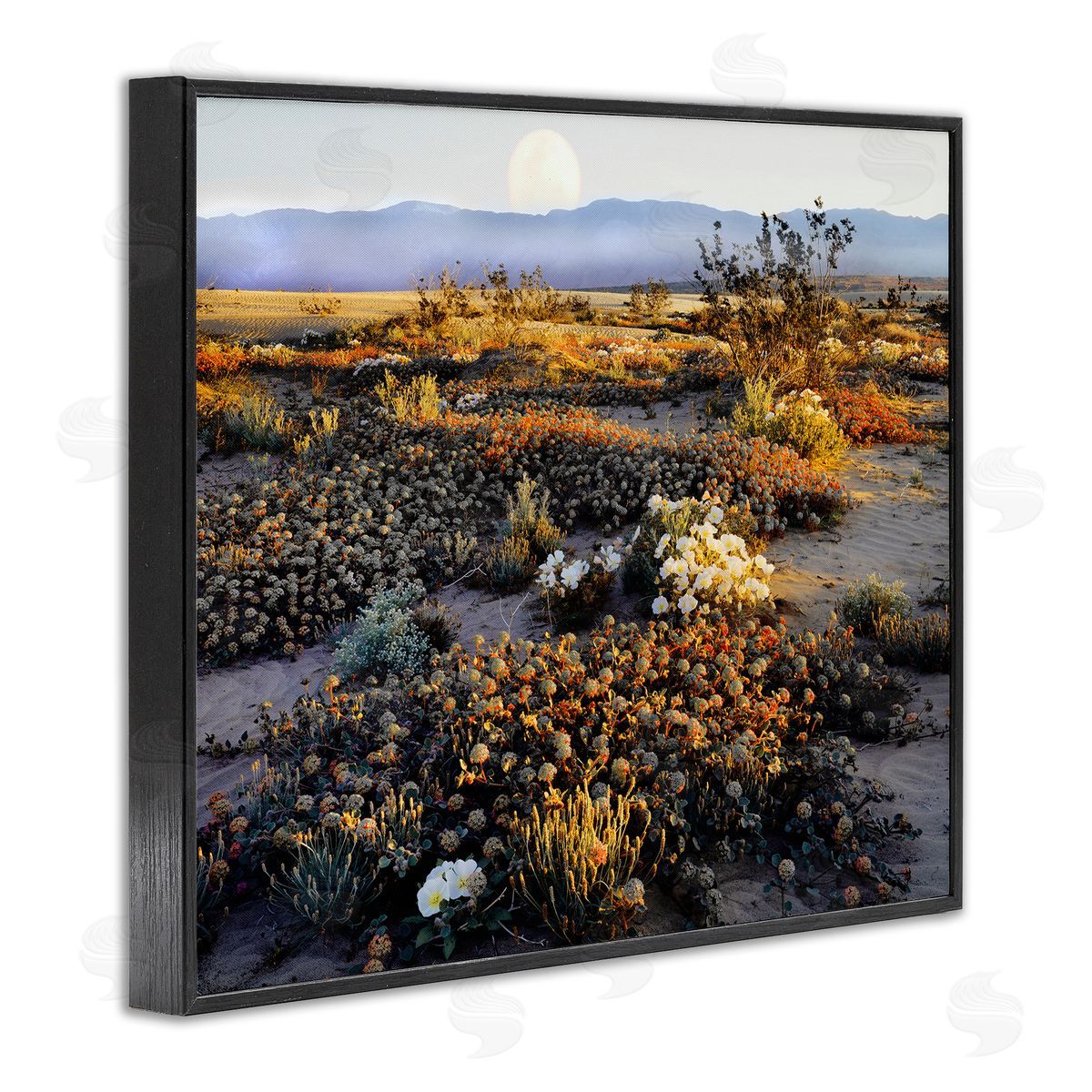 Danita Delimont Mountain View Desert Vegetation