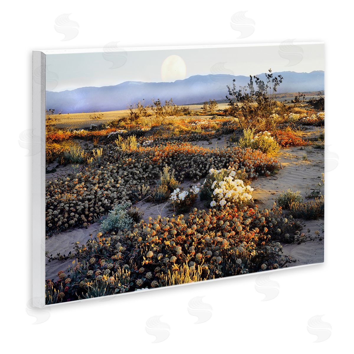 Danita Delimont Mountain View Desert Vegetation