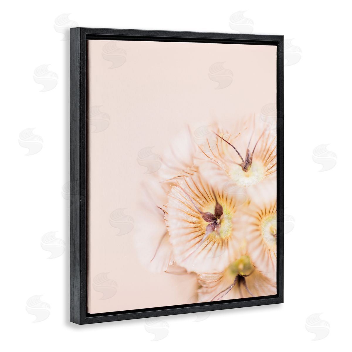 Renee W. Stramel Close Up Pink Flower Anther