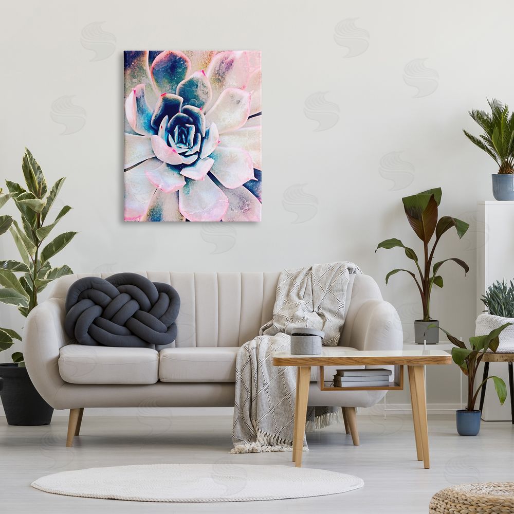 Irena Orlov Modern Succulent Plant View