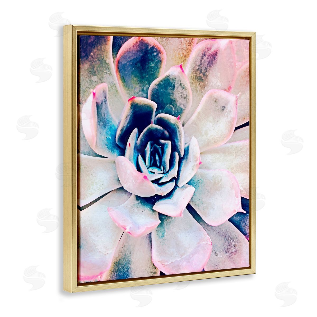 Irena Orlov Modern Succulent Plant View