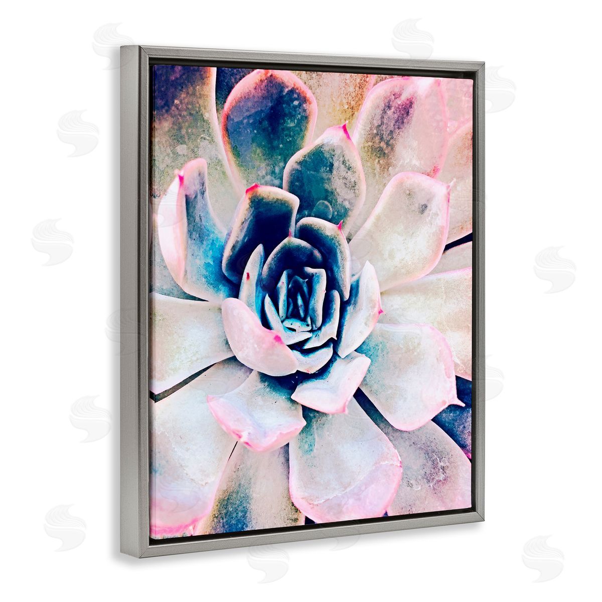 Irena Orlov Modern Succulent Plant View