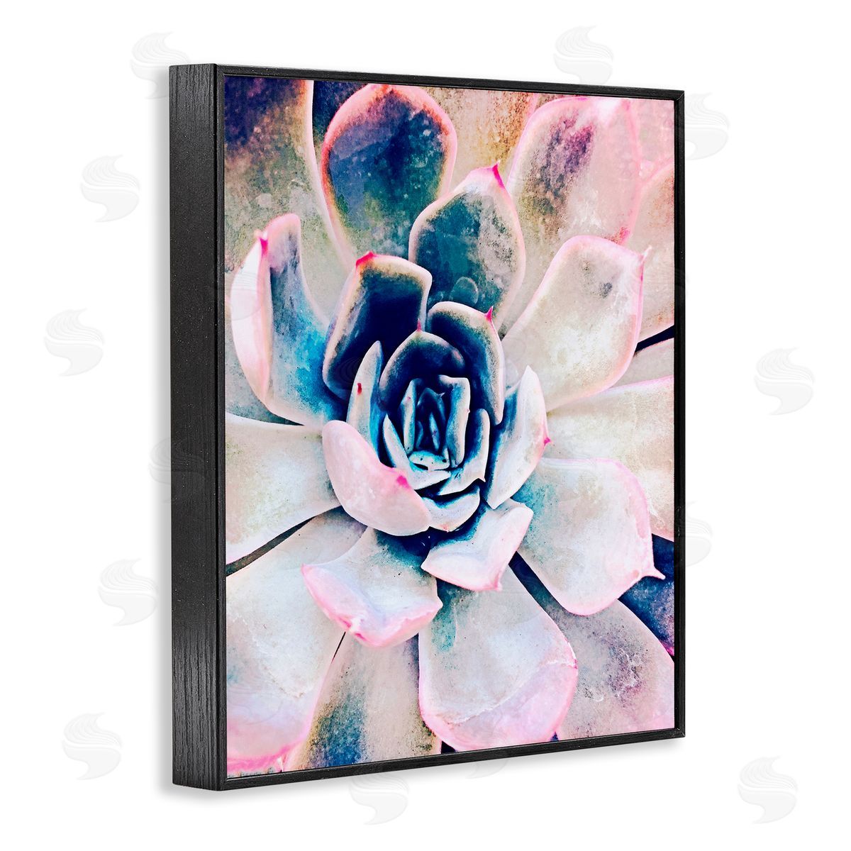 Irena Orlov Modern Succulent Plant View