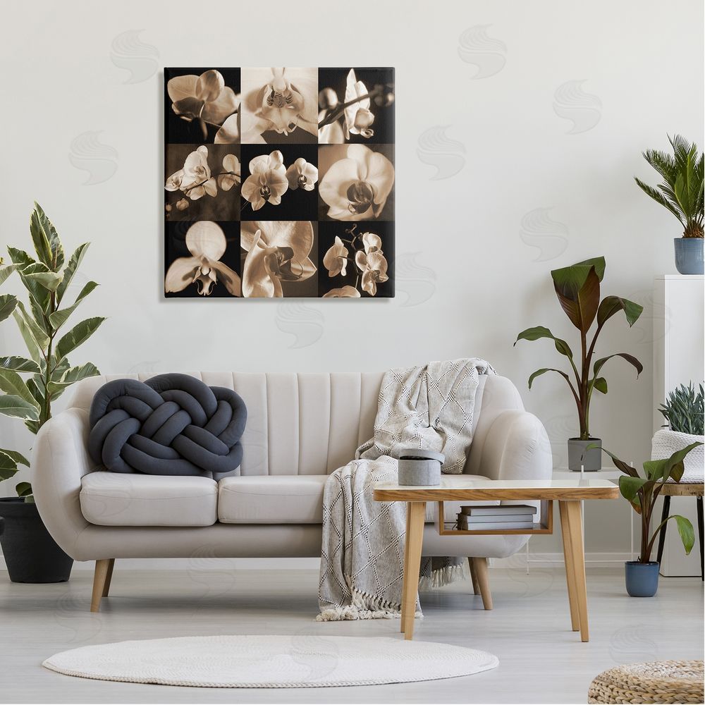 Caroline Kelly Sepia Orchid Varied Photography Canvas Wall Art in Room