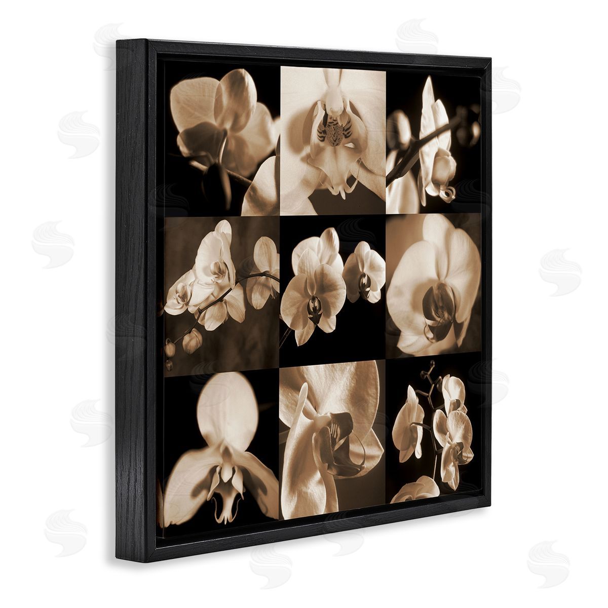 Caroline Kelly Sepia Orchid Varied Photography Black Floating Frame Canvas Wall Art Print