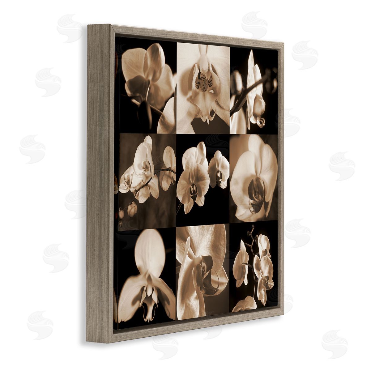 Caroline Kelly Sepia Orchid Varied Photography Brown Floating Frame Canvas Wall Art Print