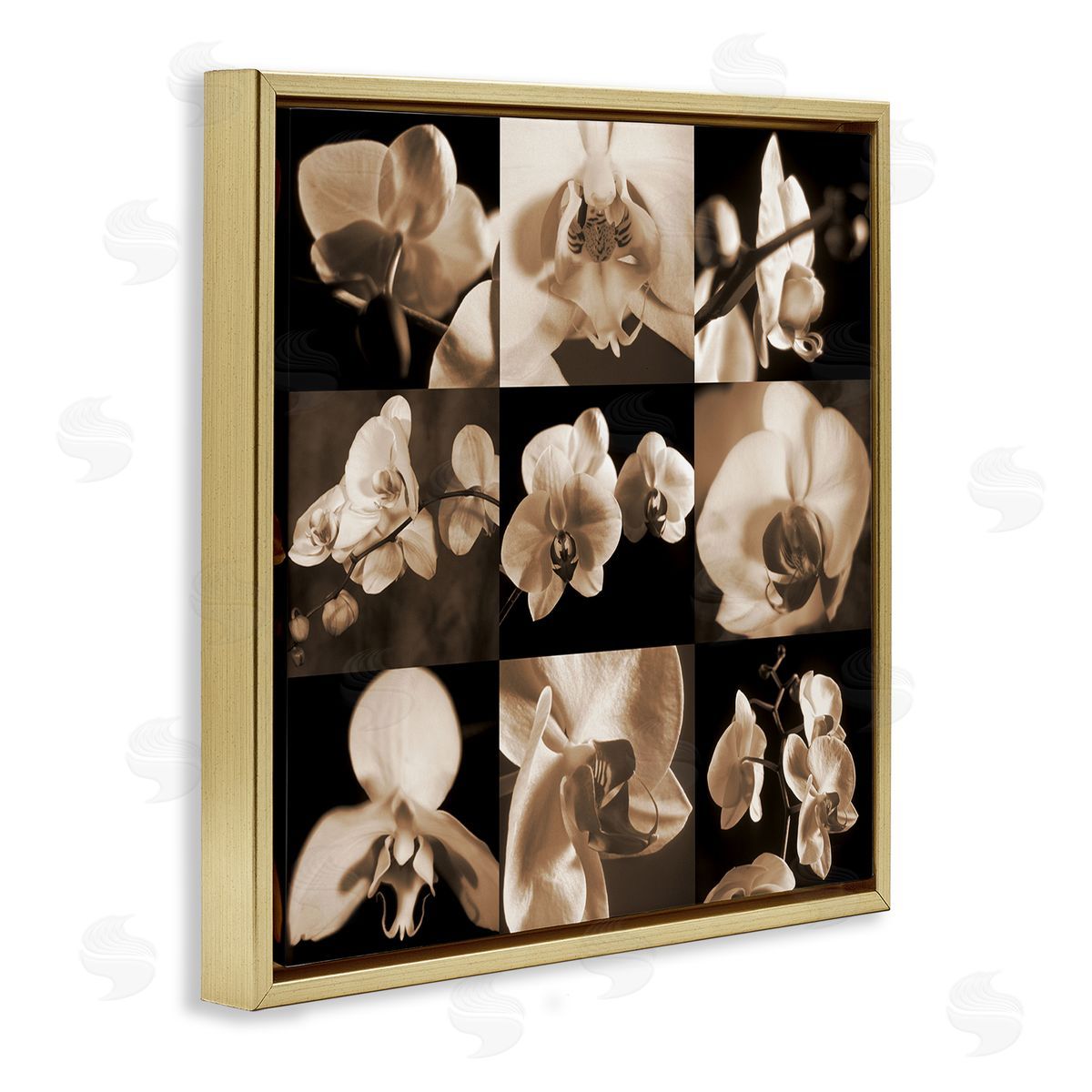Caroline Kelly Sepia Orchid Varied Photography Gold Floating Frame Canvas Wall Art Print