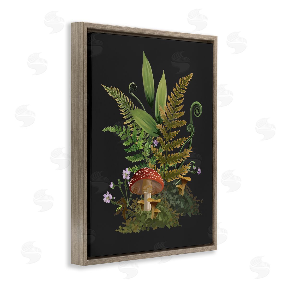 House of Rose Ferns Sprouting Woodland Mushroom Plants