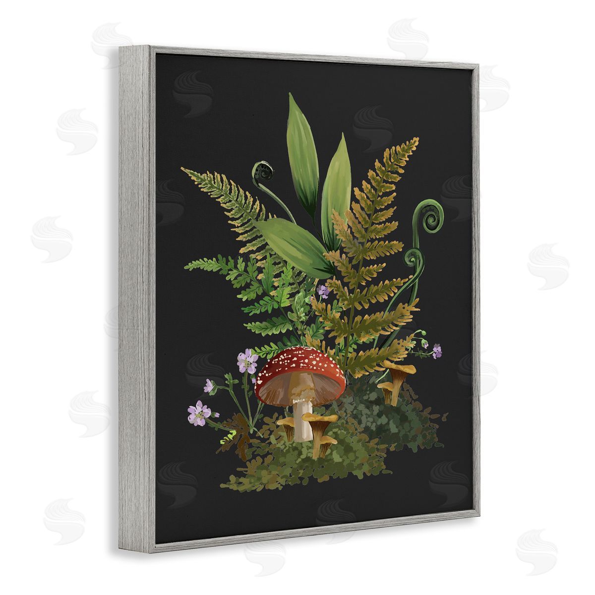 House of Rose Ferns Sprouting Woodland Mushroom Plants