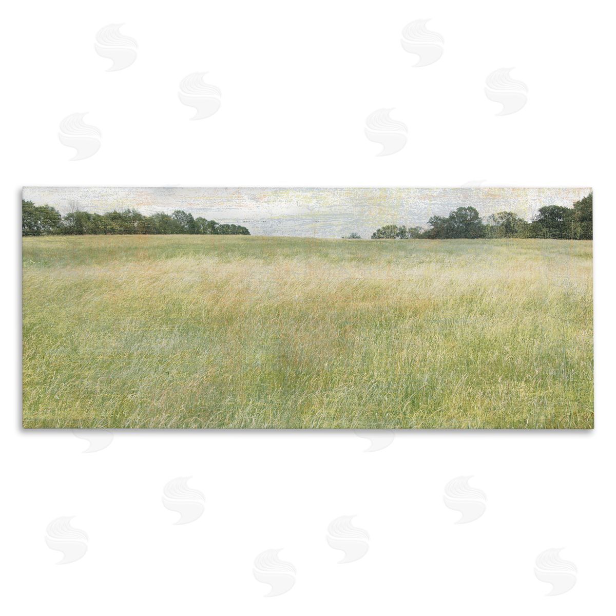 Erin Clark Vast Grassland Field Rural Scene