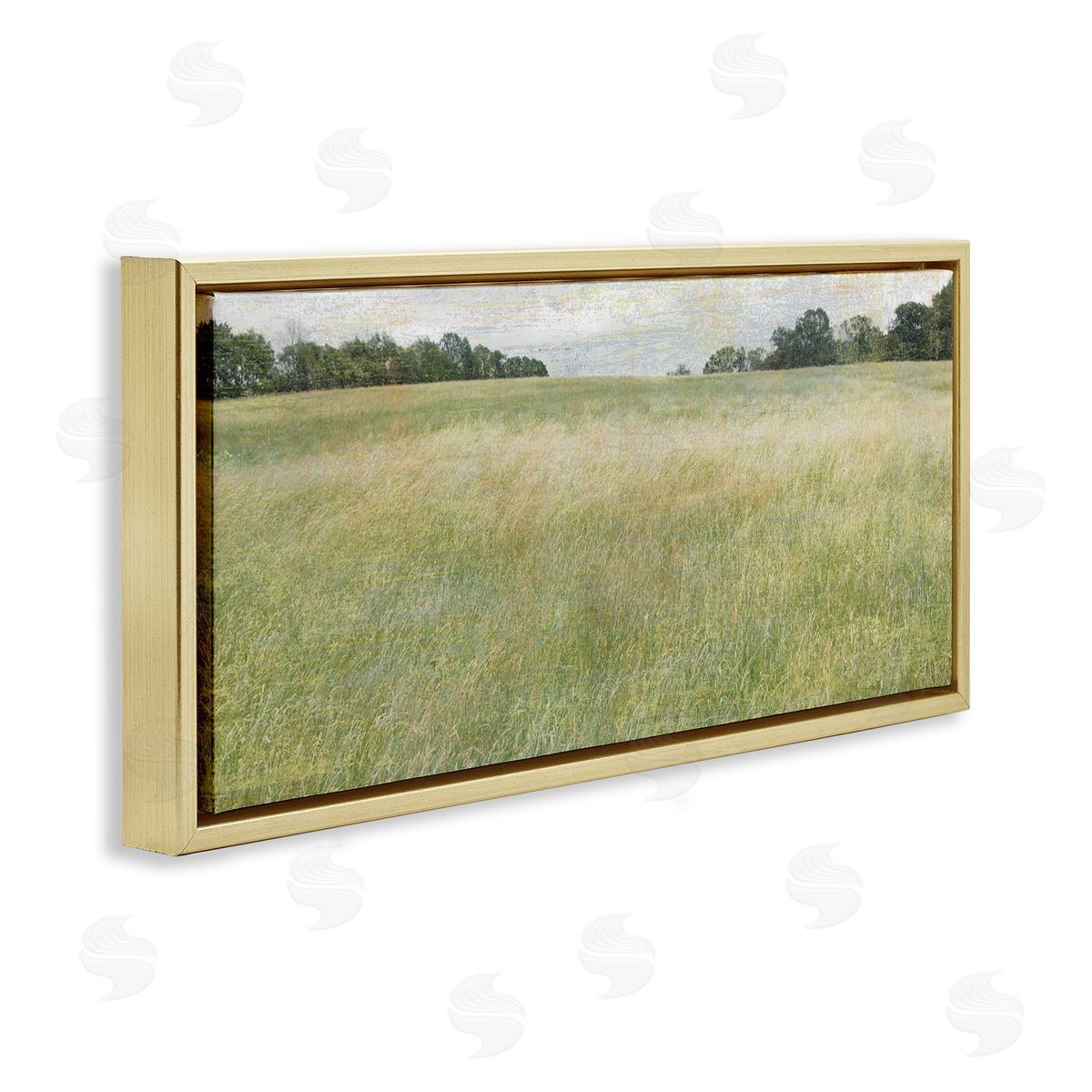 Erin Clark Vast Grassland Field Rural Scene