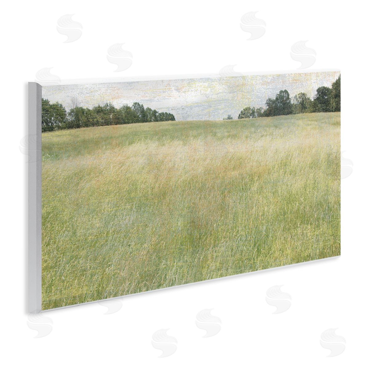 Erin Clark Vast Grassland Field Rural Scene