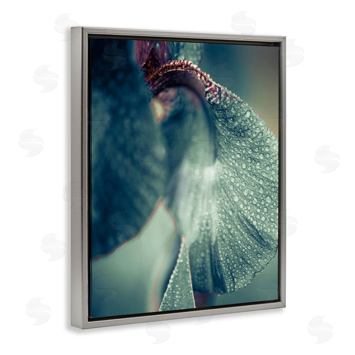 Incado Close Up Water Drip Petals