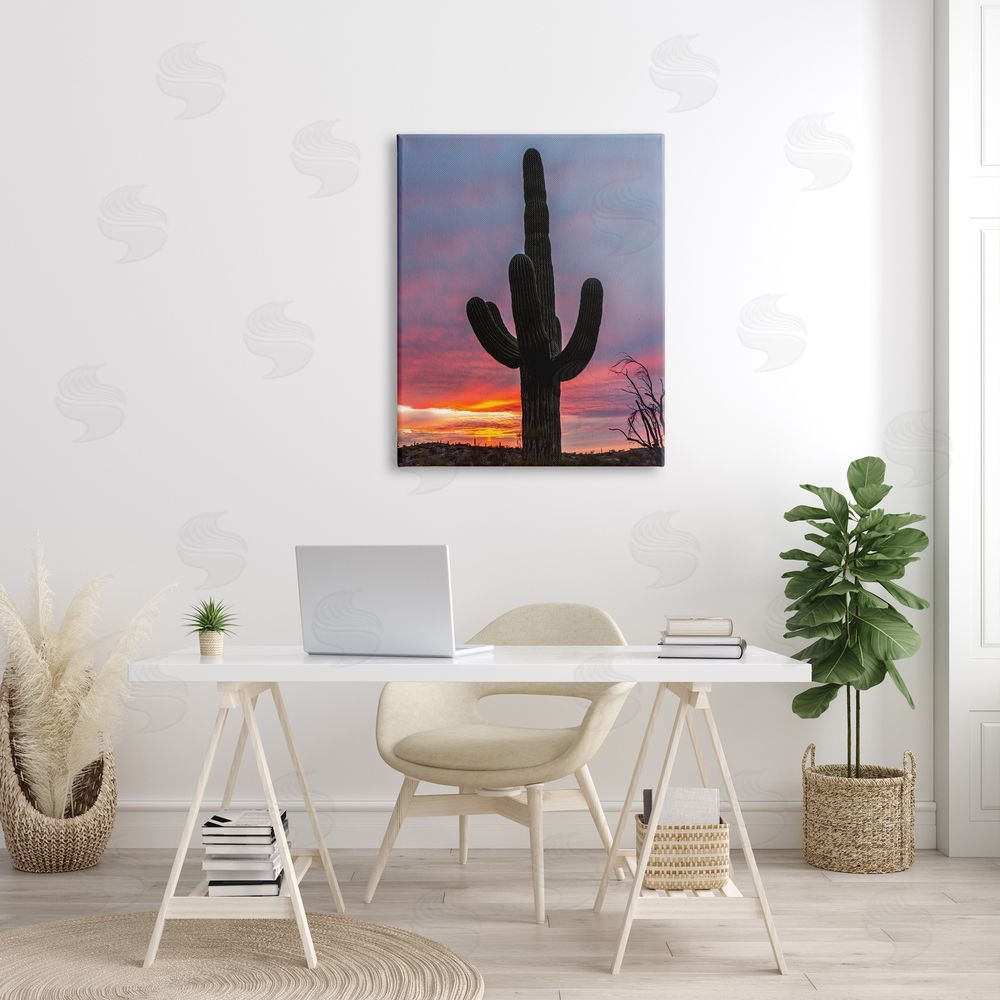 Jeff Poe Photography Looming Desert Cactus Silhouette