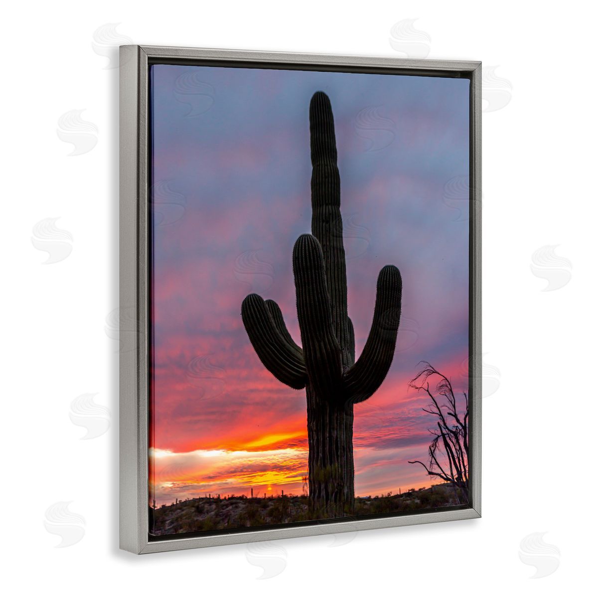 Jeff Poe Photography Looming Desert Cactus Silhouette