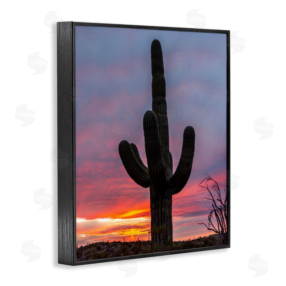 Jeff Poe Photography Looming Desert Cactus Silhouette