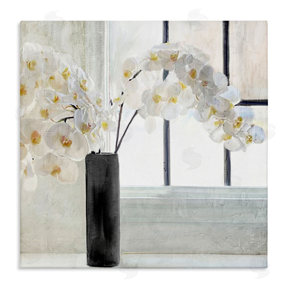 Kim Allen Sunlit White Orchids Arrangement Stretched Canvas Wall Art Print