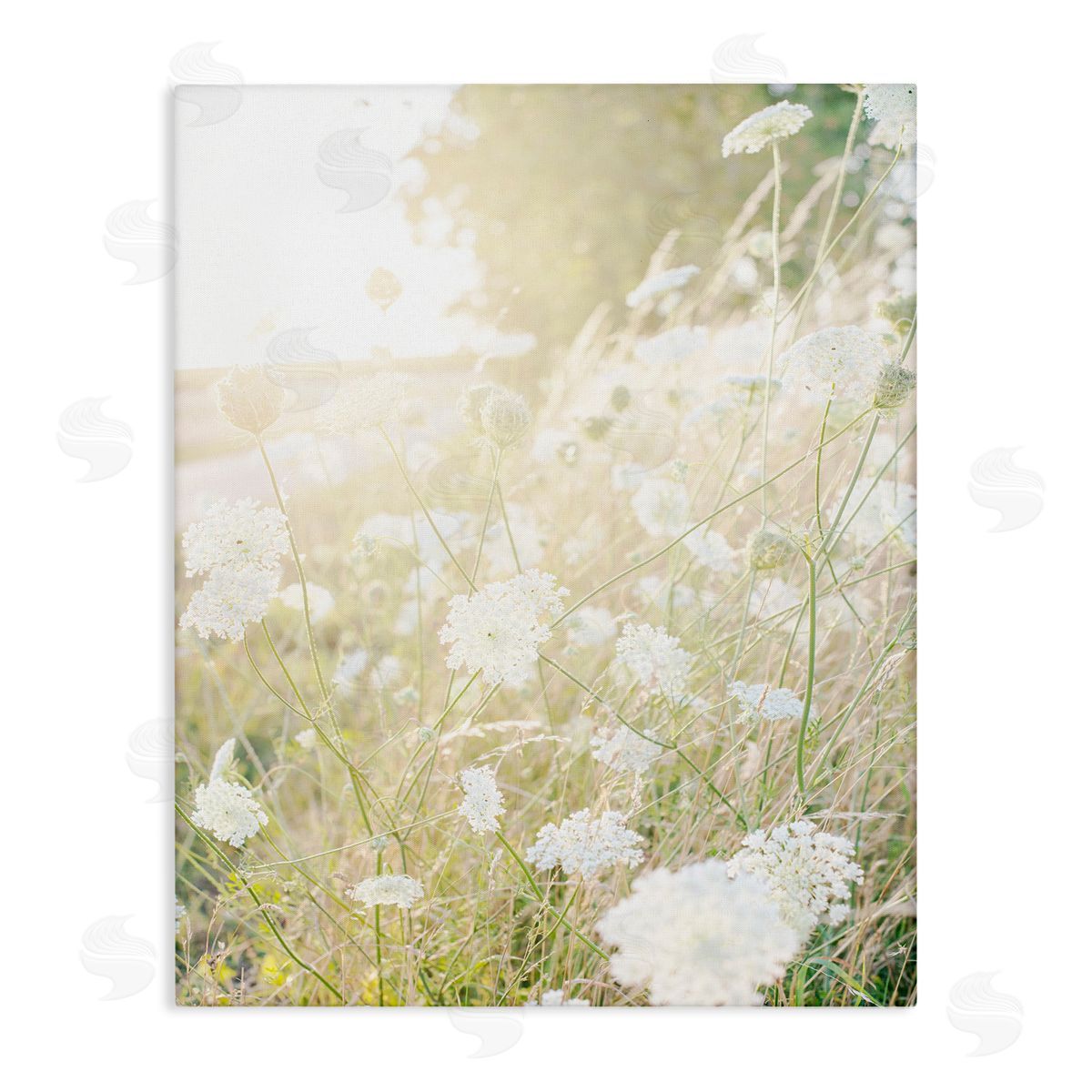 Leah Straatsma Sunlit Meadow Blooming Wildflowers
