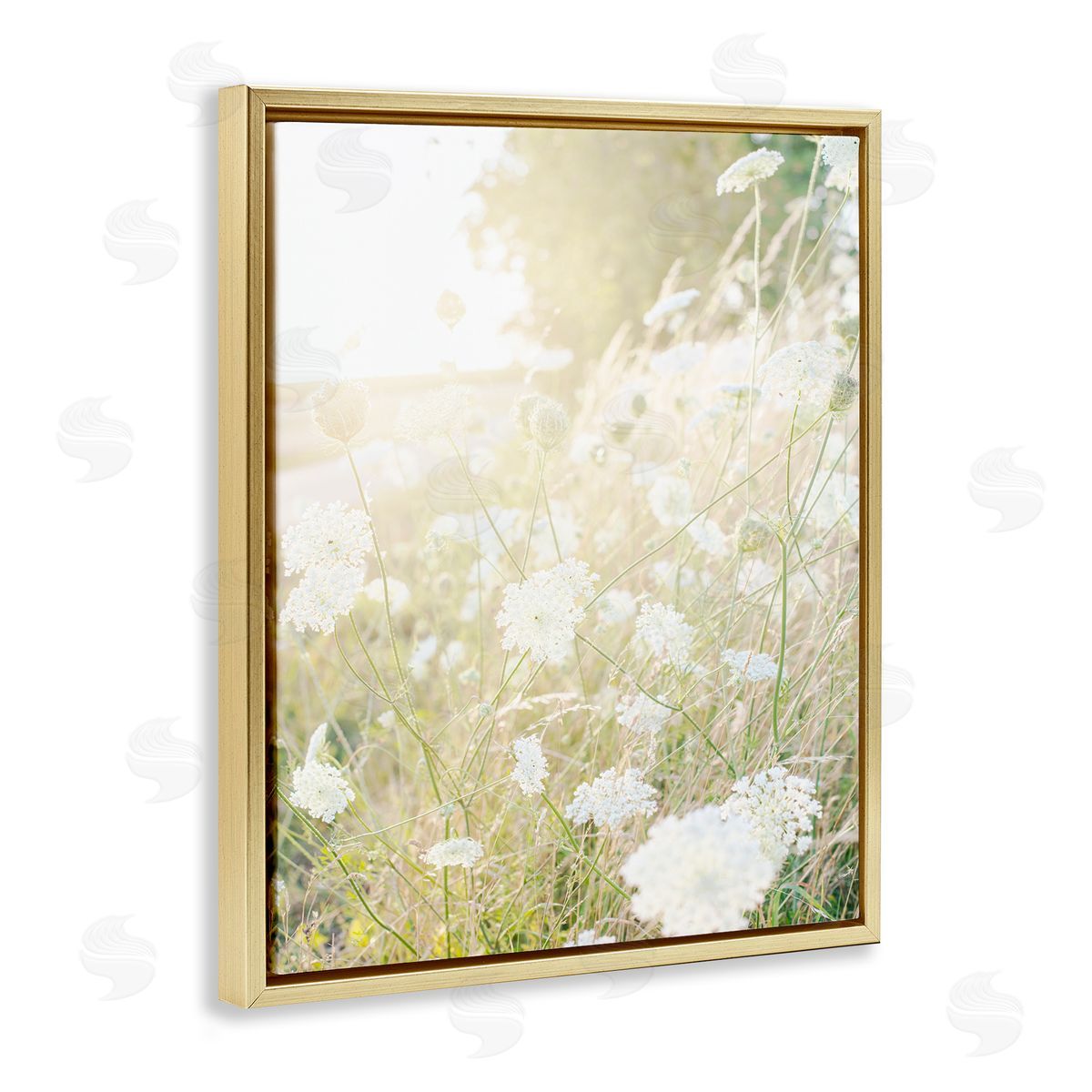 Leah Straatsma Sunlit Meadow Blooming Wildflowers