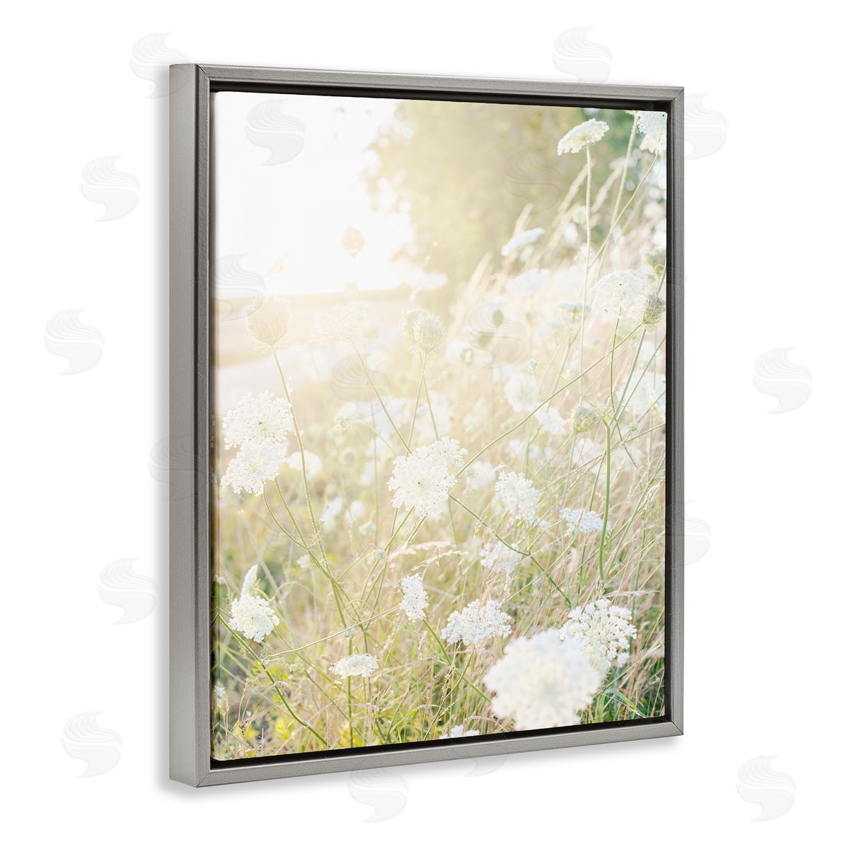 Leah Straatsma Sunlit Meadow Blooming Wildflowers