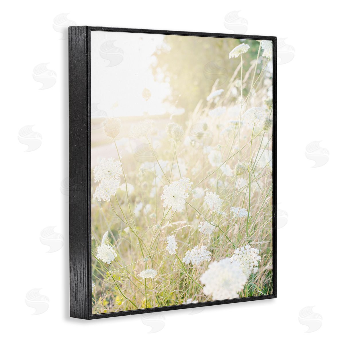 Leah Straatsma Sunlit Meadow Blooming Wildflowers