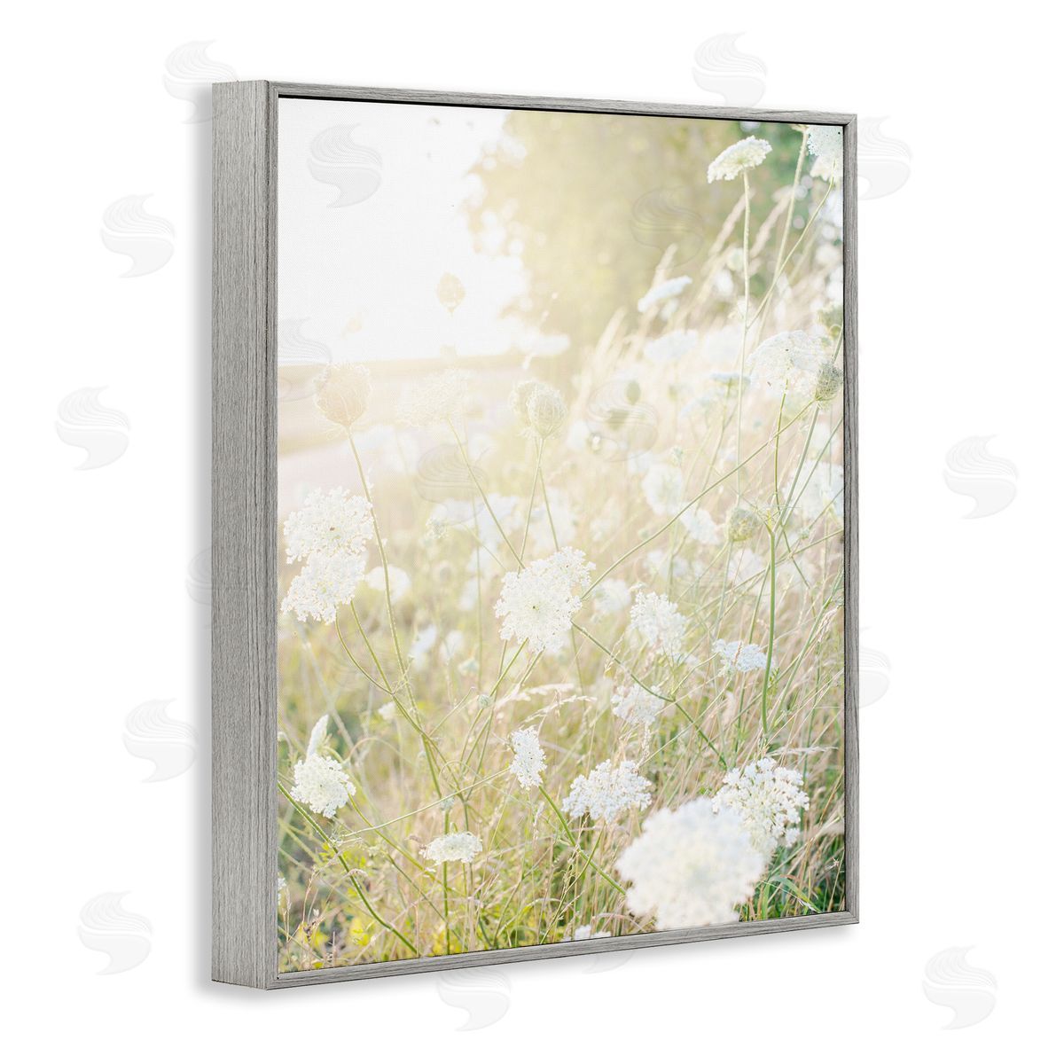 Leah Straatsma Sunlit Meadow Blooming Wildflowers