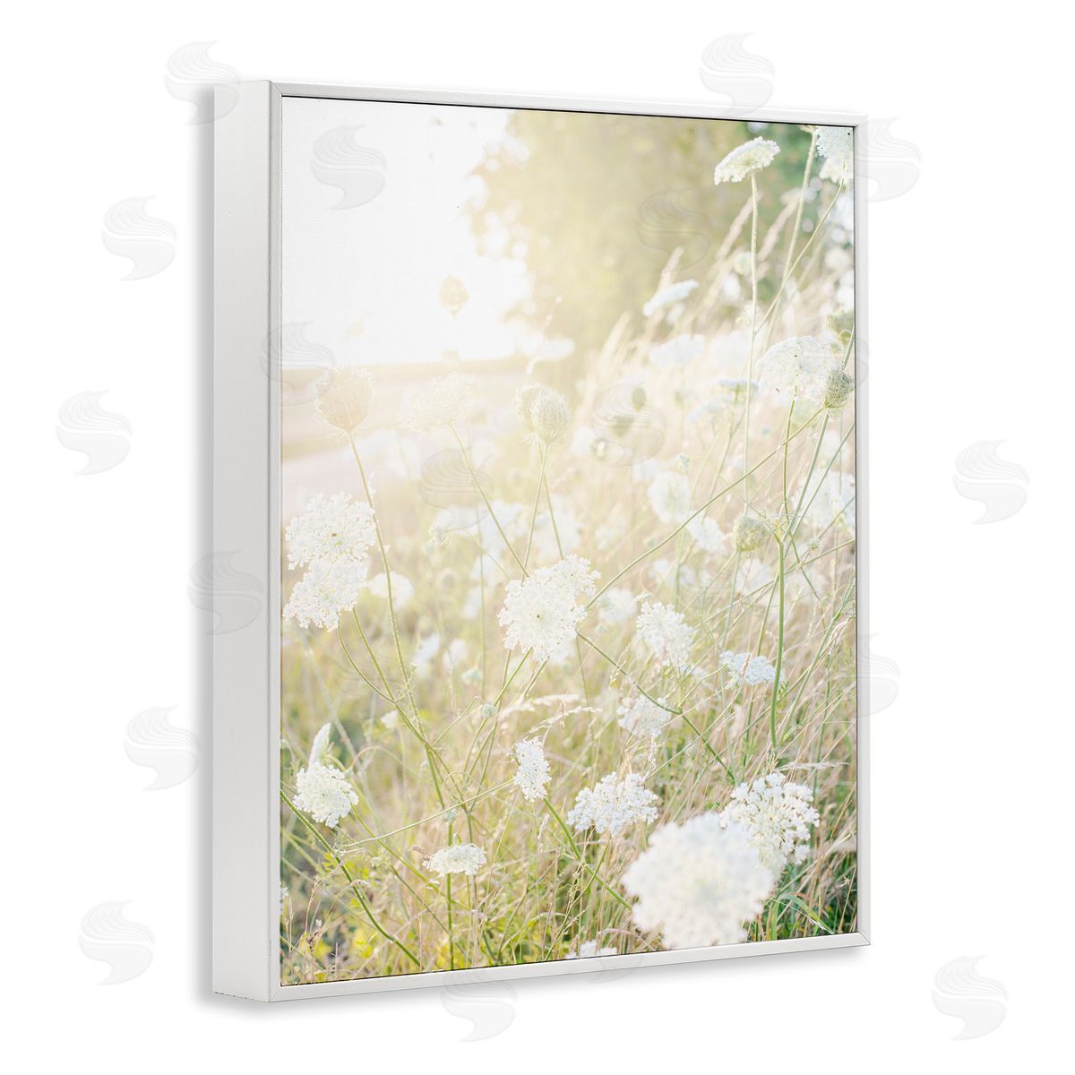 Leah Straatsma Sunlit Meadow Blooming Wildflowers