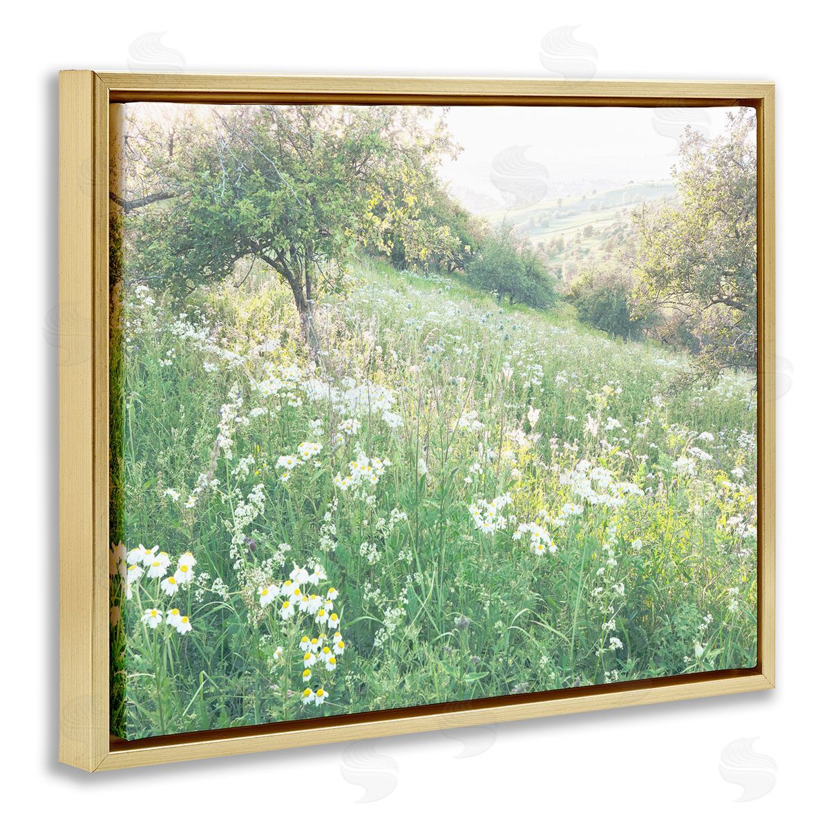 Leah Straatsma Spring Meadow Grassland Field