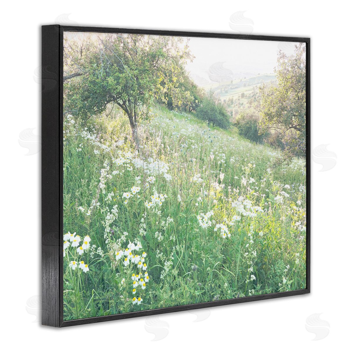 Leah Straatsma Spring Meadow Grassland Field