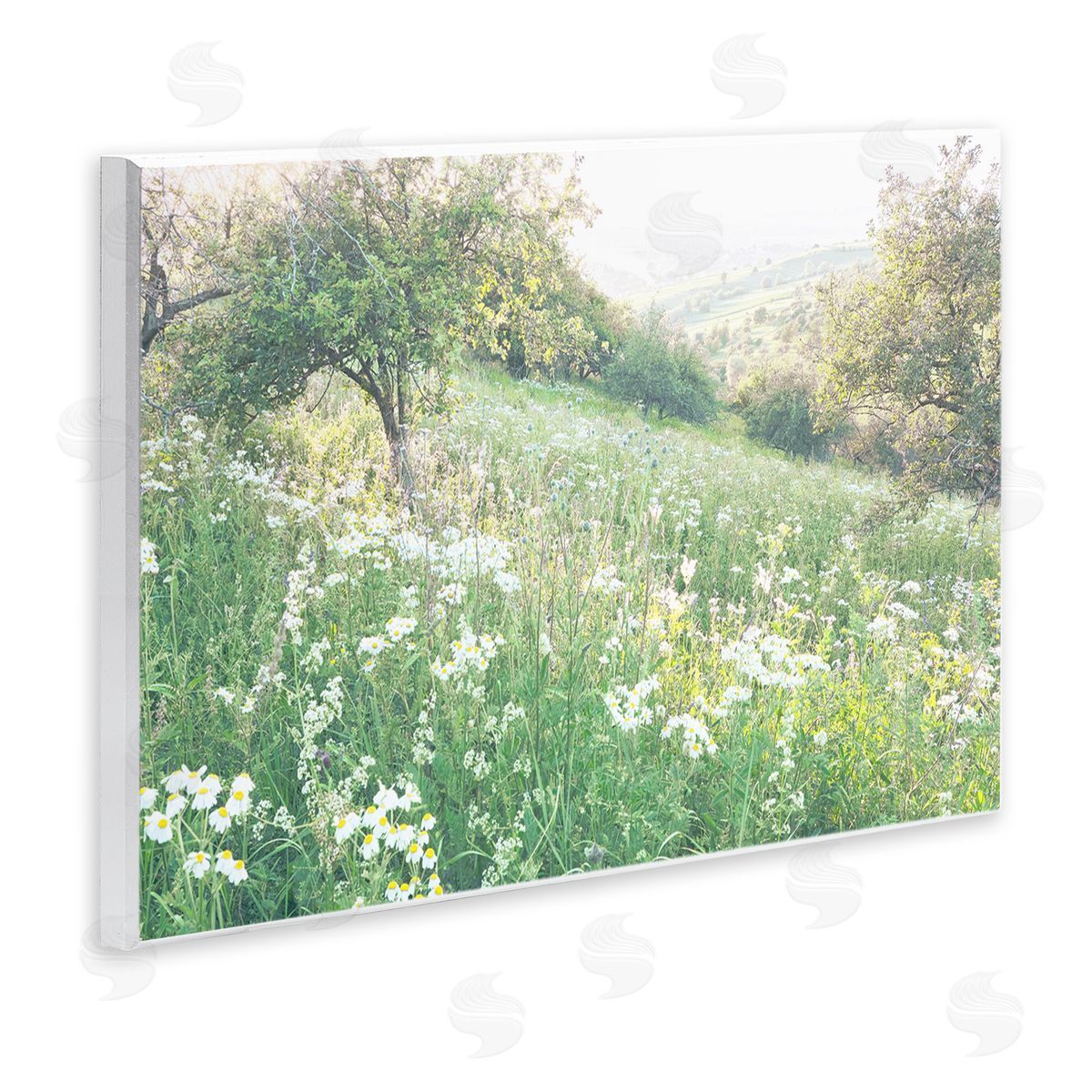 Leah Straatsma Spring Meadow Grassland Field