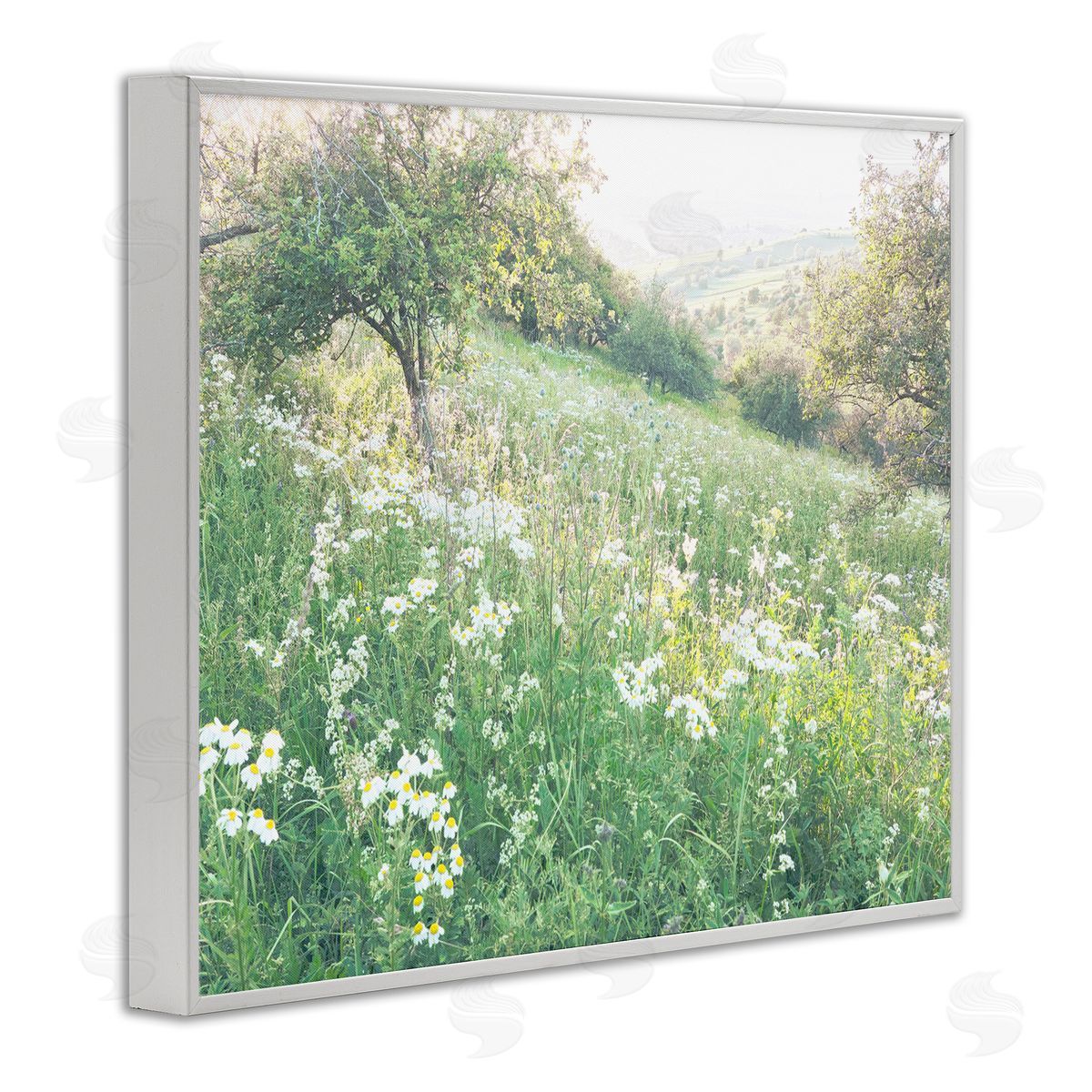 Leah Straatsma Spring Meadow Grassland Field