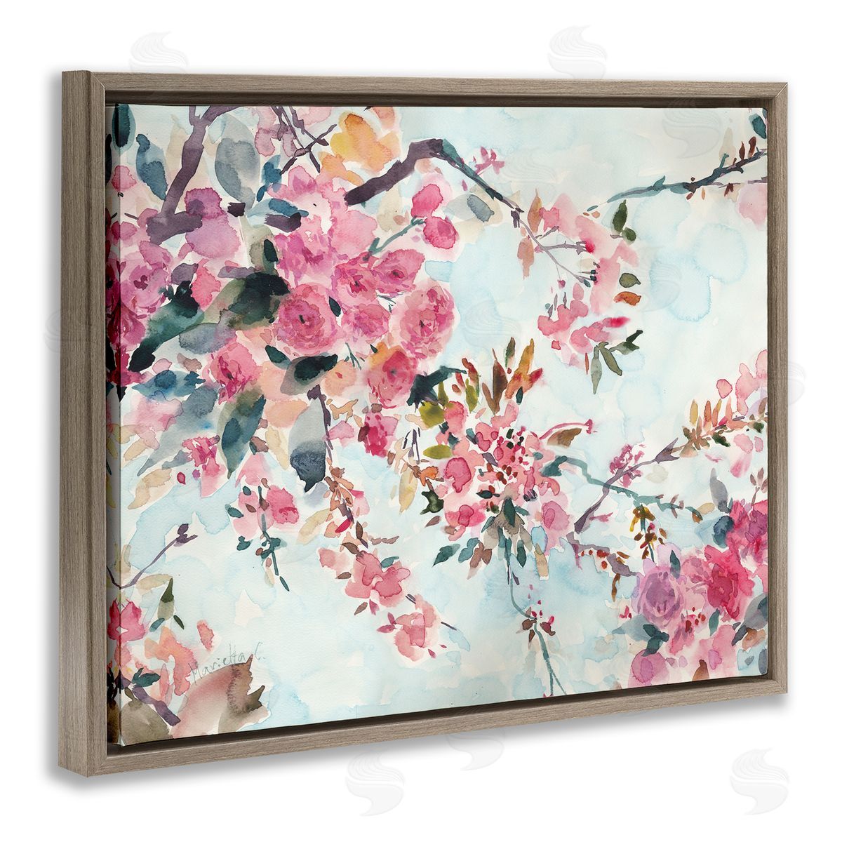 Marietta Cohen Art and Design Budding Cherry Blossoms Nature