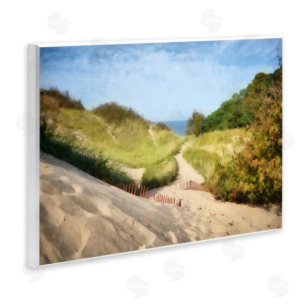 Michelle Calkins Sandy Summer Beach Path