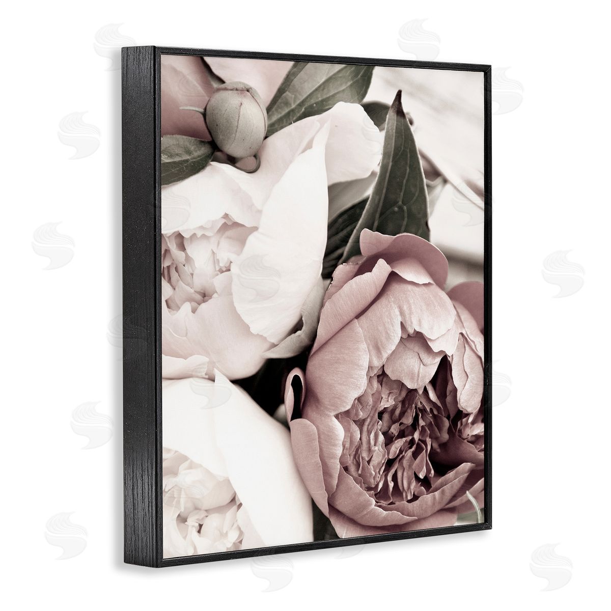 Malerifabrikken Budding Peony Petals Close Up