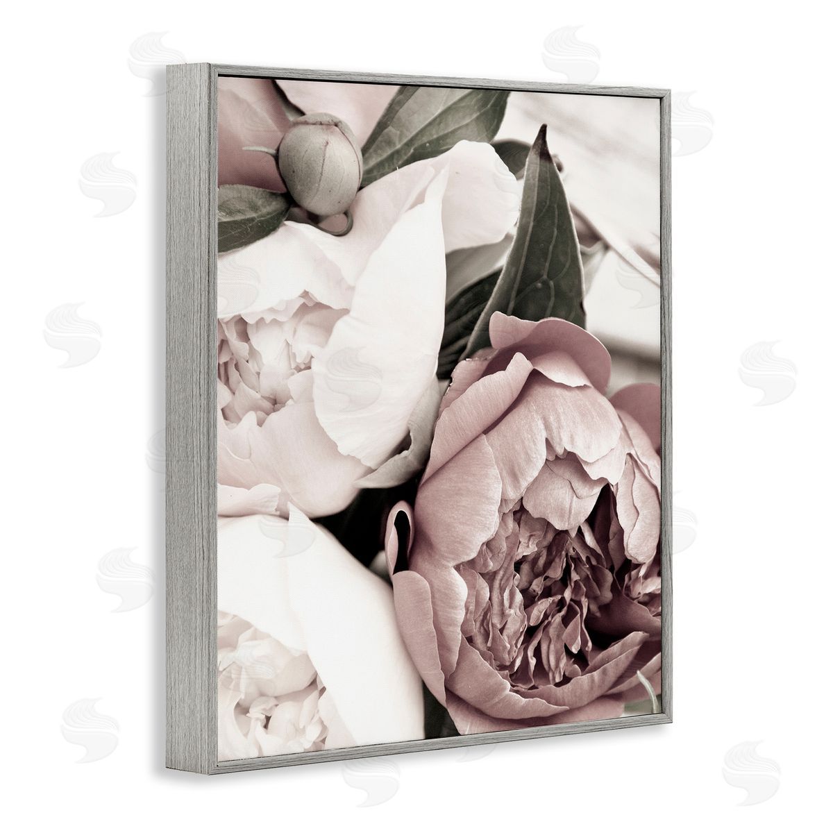 Malerifabrikken Budding Peony Petals Close Up