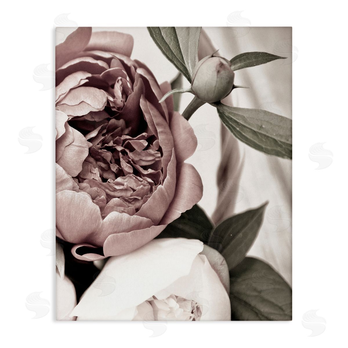 Malerifabrikken Blooming Peony Flower Buds