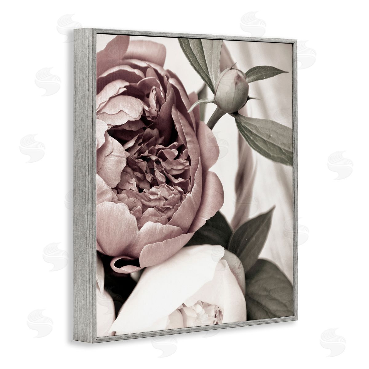 Malerifabrikken Blooming Peony Flower Buds