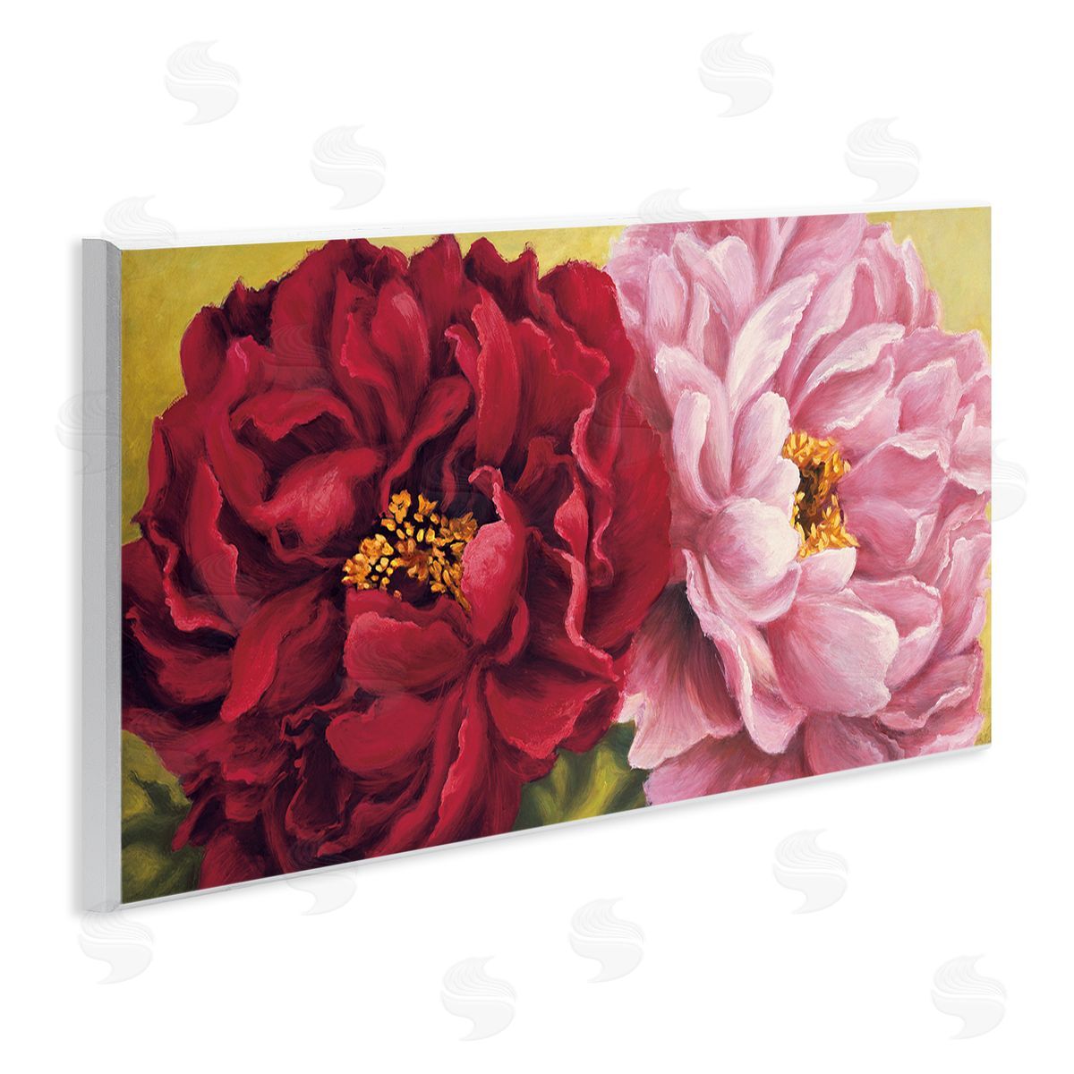 Nathalie Besson Pink Red Dahlia Flower Duo