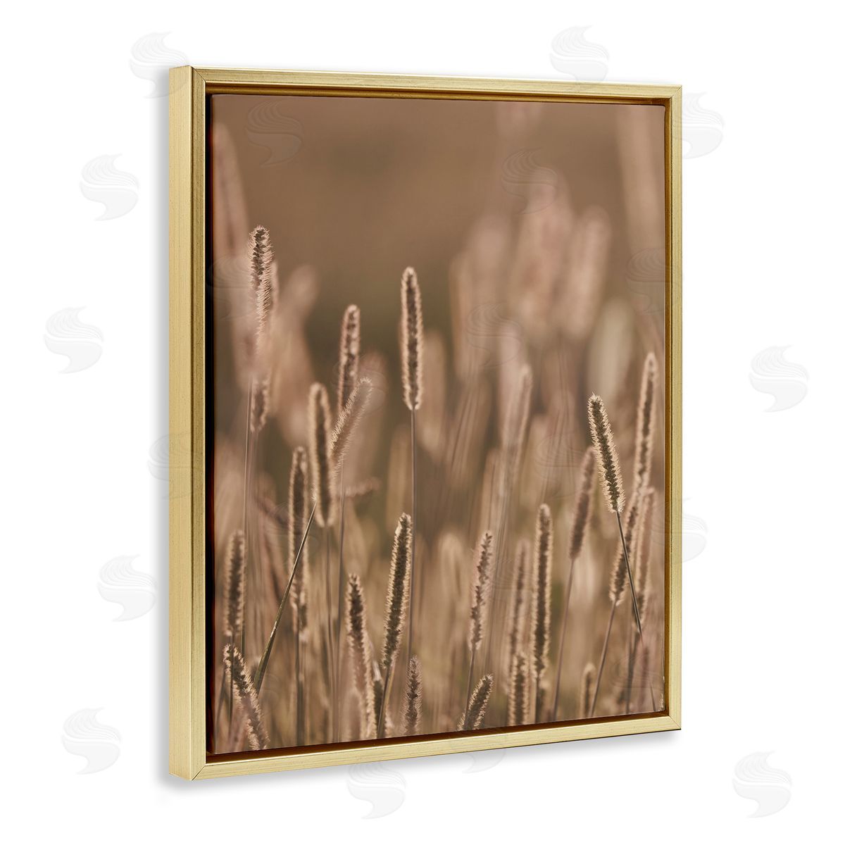 Stupell Studio Rural Wheat Field Nature