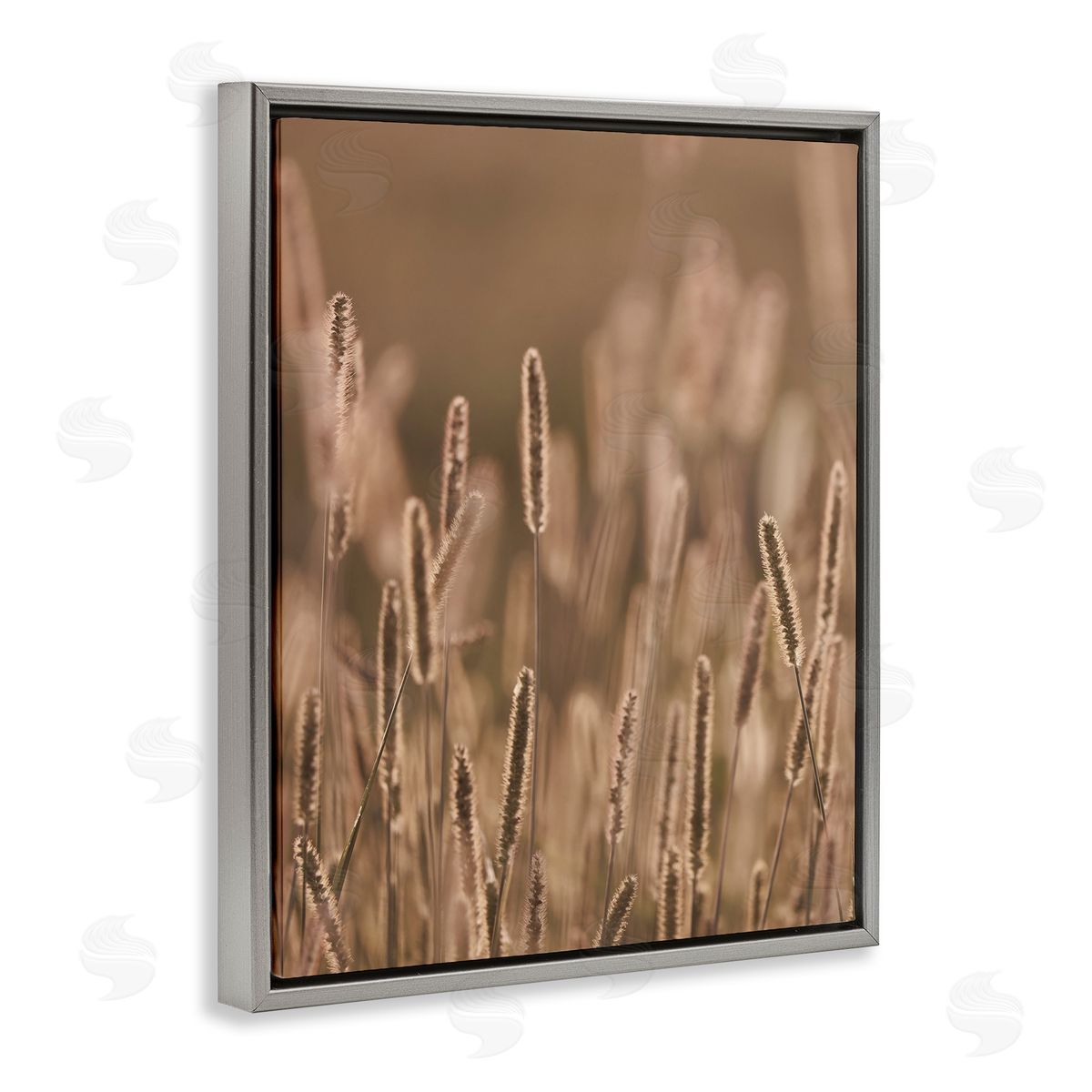 Stupell Studio Rural Wheat Field Nature