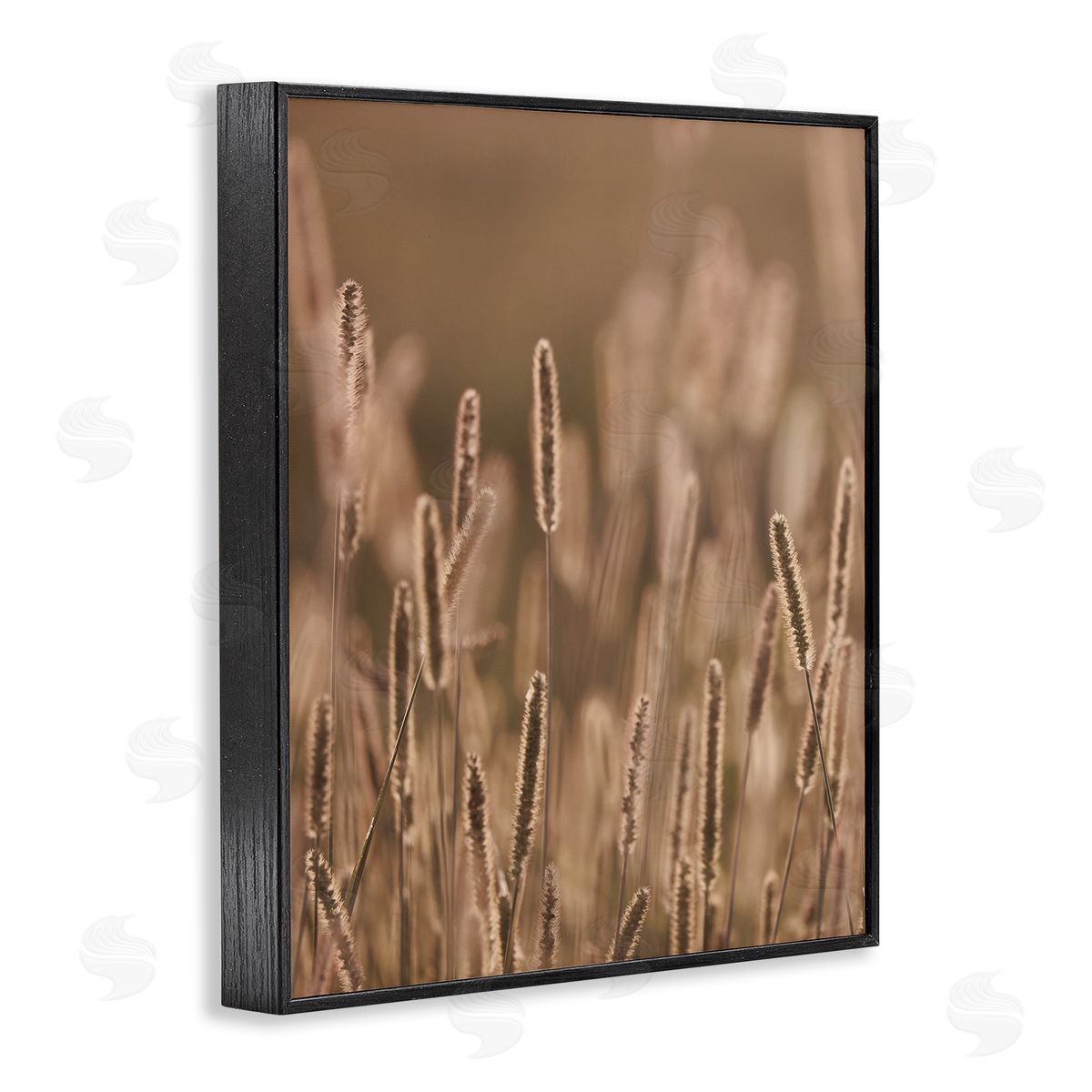 Stupell Studio Rural Wheat Field Nature