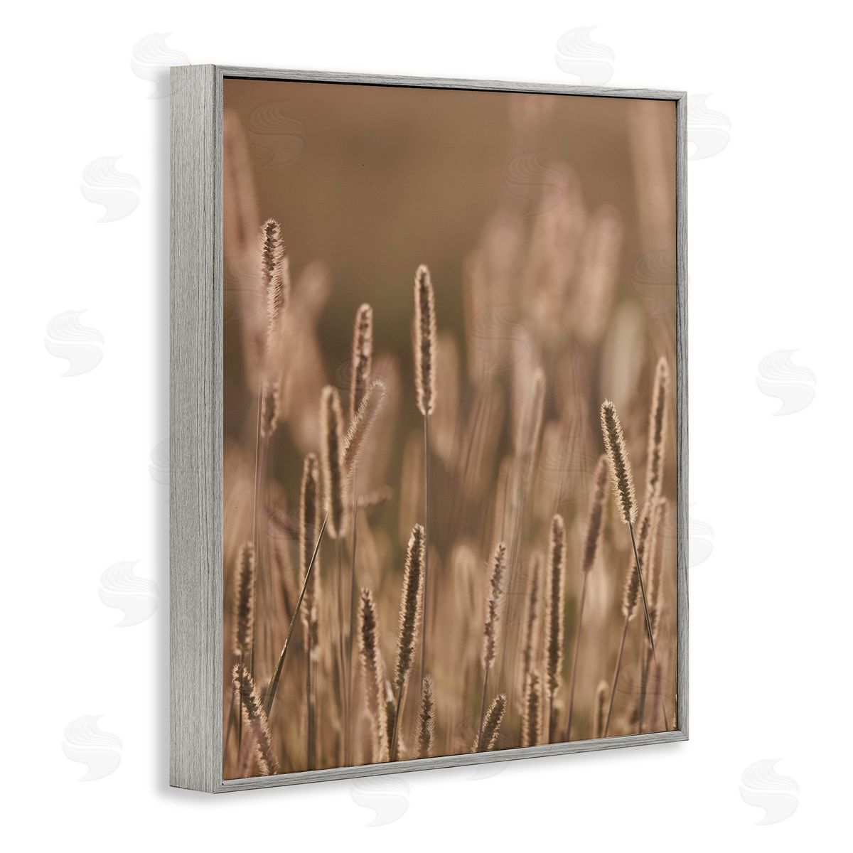 Stupell Studio Rural Wheat Field Nature