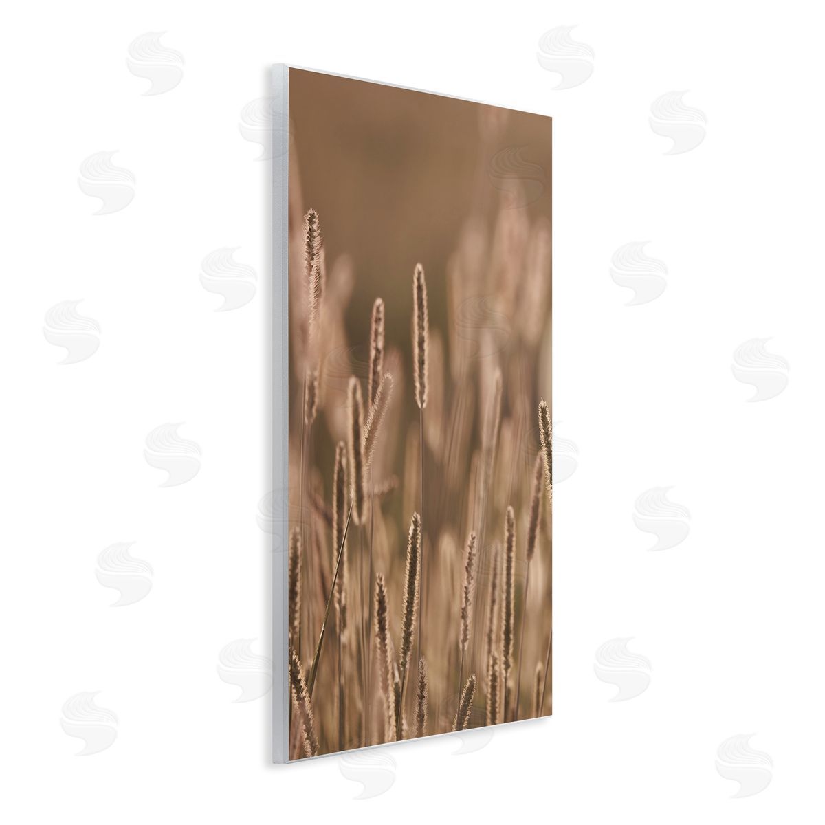 Stupell Studio Rural Wheat Field Nature